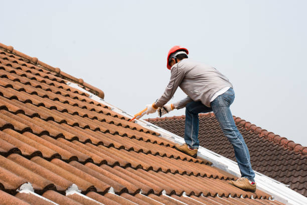 Best Storm Damage Roof Repair  in Carlyss, LA